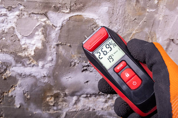 Best Local Mold Removal Service  in Mulvane, KS