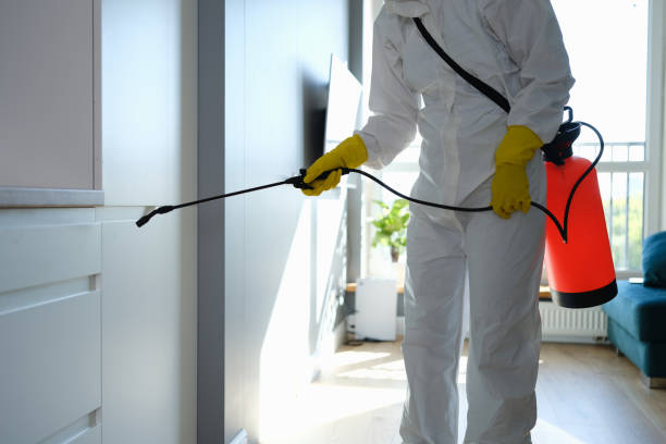 Best Mold Removal Specialists  in Mulvane, KS