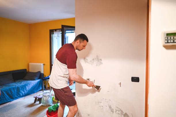 Best Mold Remediation Experts  in Mulvane, KS
